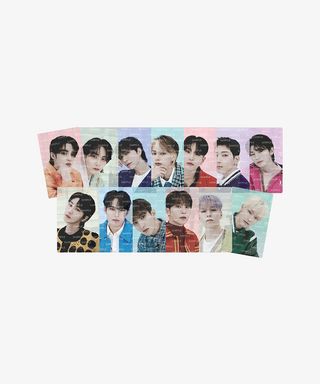 Follow to Seoul - Pet Photo Card Set