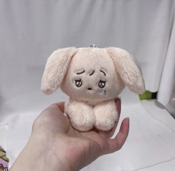 Crying DuangDuang