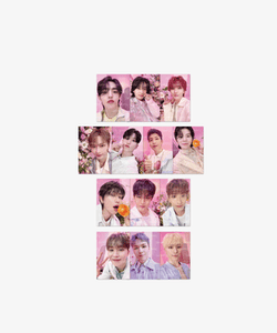 [FETA] Always Yours MD - 10-set Selfie Photo (Random)