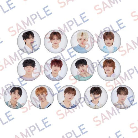 [Batch 2] Cheese Park - Can Badge Face (Random)