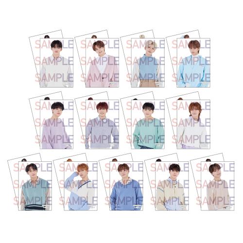 [Batch 2] Cheese Park - Post Card Set