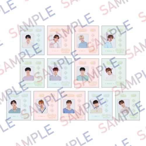 [Batch 2] Cheese Park - Sticker