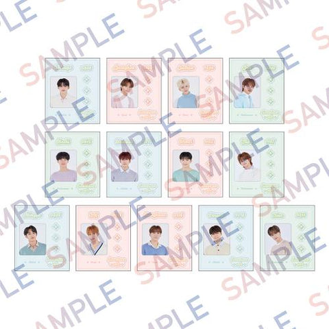 [Batch 2] Cheese Park - Sticker