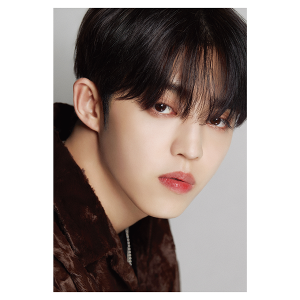DICON D’FESTA PHOTO BOOK SEVENTEEN