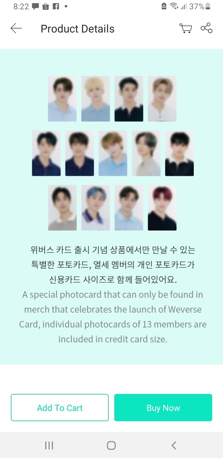 Weverse Card MD - Seventeen Card Wallet Tingi