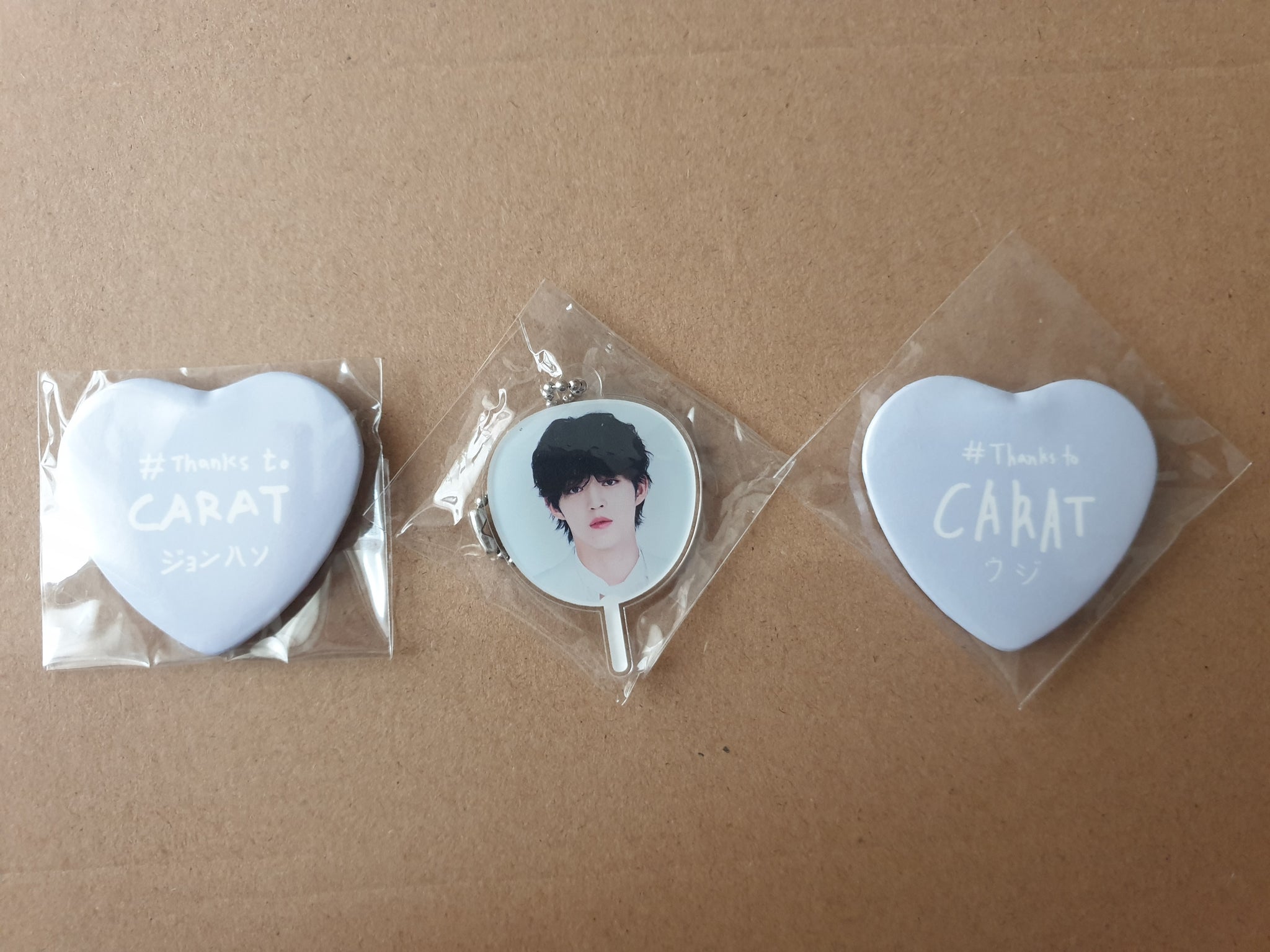 Seventeen Dome Tour Gacha Charms (On hand)